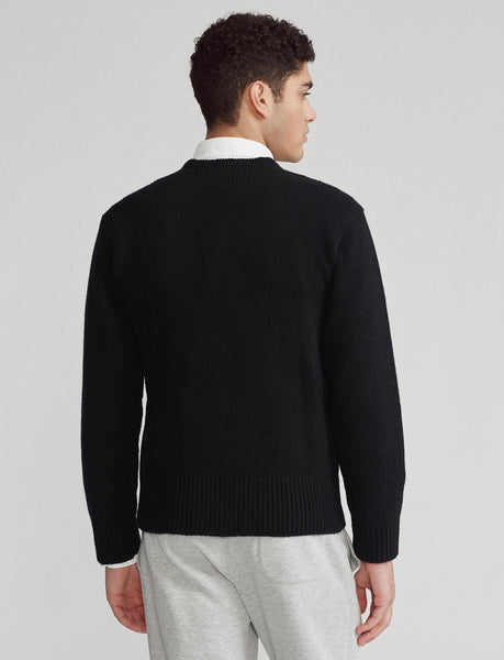 Polo Ralph Lauren Polo Tiger Wool-Blend Sweater, Black