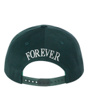 Wu York Snapback, SPRUCE