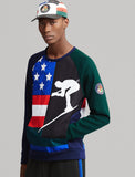 POLO RALPH LAUREN Downhill Skier Double-Knit Sweatshirt, Navy/ Green